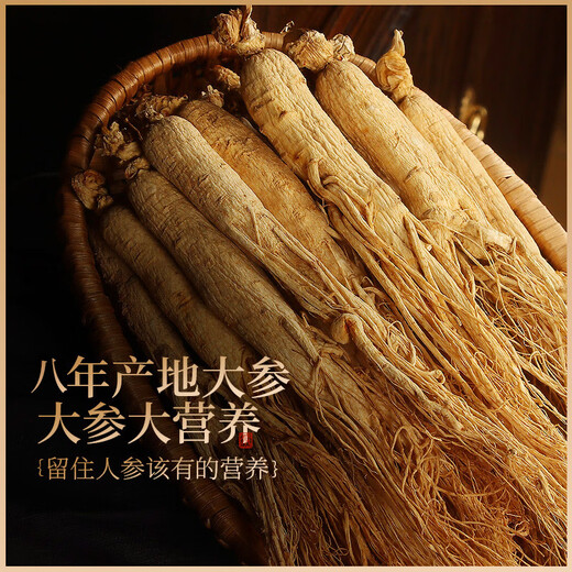 馨草纲目长白山人参精品15年 6支装长白山人参林下参生晒参泡酒煲汤参礼盒 60g 6支装