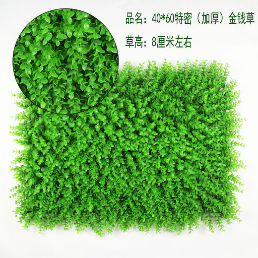 Qiyihang simulated lawn balcony outdoor wall decoration grass wall artificial green plastic fake lawn 40*60 encrypted money grass