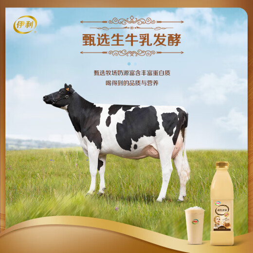 
Yilipareti Brown Charcoal-Burned Yogurt 1050g Flavored Fermented Yogurt