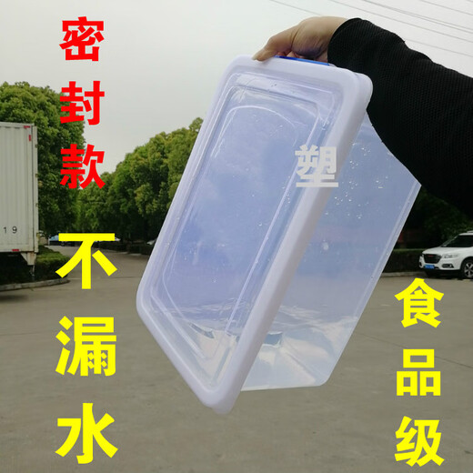 泽艺特大容量大号加厚食品冷冻冷藏塑料盒子干货单反收纳盒密封保鲜盒 [18斤]40*27*12.5cm [9903]