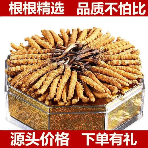 Peking Tongrentang Tong Qualität 2024 Erste Cordyceps 10 Geschenkboxen für kaputte Cordyceps ganze trockene Produkte SF Express Select 2/Gramm 30 Deluxe Pipe Pack Geschenkbox