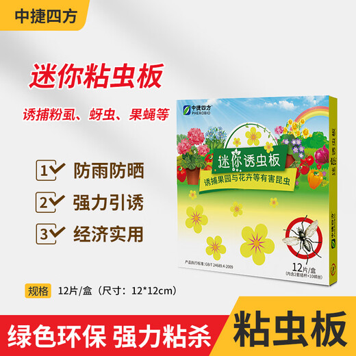 Zhongjie square flower-type armyworm board small flying insect yellow board double-sided armyworm trap flower household small black flying aphids 1 box 12 tablets
