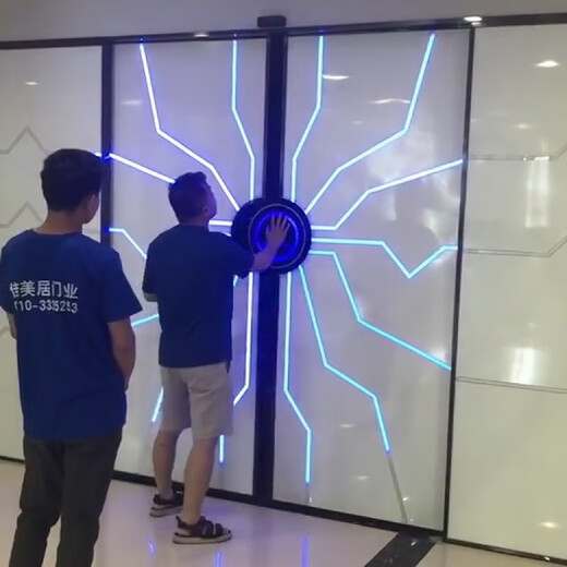 MEXEMINA科技门掌纹门 网红门科技门触控隐形门酒吧掌纹门电动感应门科的 图案