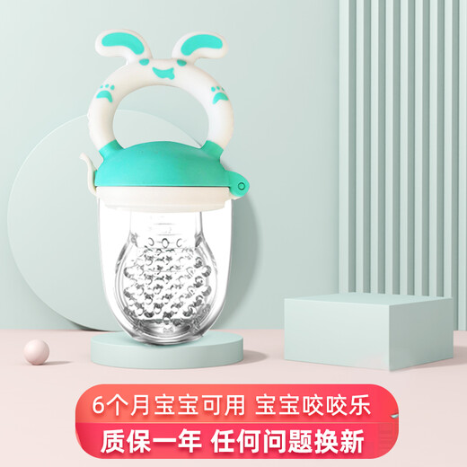 BABYALAN Baby Bite Bag Baby Fruit and Vegetable Bite Bag Feeder Trainer Food Bite Bag Feeder Mint Green With M Size Mesh Bag 1 Pack