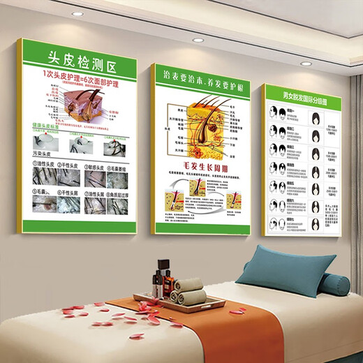 Chengliu Kopfhaut Haarfollikel Erkennung Bilder Haarwachstumsposter Haarstruktur Bild Werbung Haarausfall Grade Hängende Gemälde Kopfhaut FAQ 16852 PS Fotorahmen Malmalerei (Dicke 25 mm) 24 Zoll (40-60 cm)