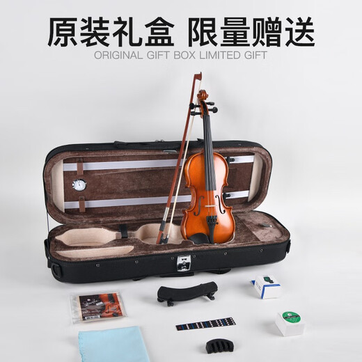 Lesmander (Angelviolin) LS668 Violon Adulte Violon Enfants Débutants Examen scolaire