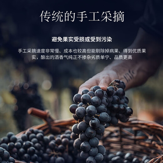 智象美露干红葡萄酒750ml*6整箱装 智利进口红酒 送礼礼盒装