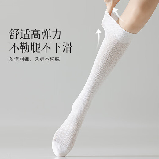 Mona Socks Women's Spring and Summer Breathable Mesh Calf Socks Fashionable Stockings Over-the-Knee Socks Japanese and Korean Trendy Long Stockings - Black