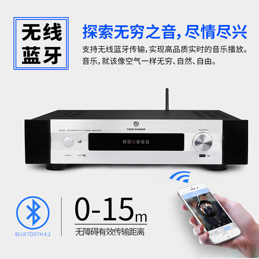 天逸（Winner）AD-66DPRO 合并式数字解码功放  高保真无线蓝牙发烧HIFI功放机 套餐1：搭配惠威D3.1