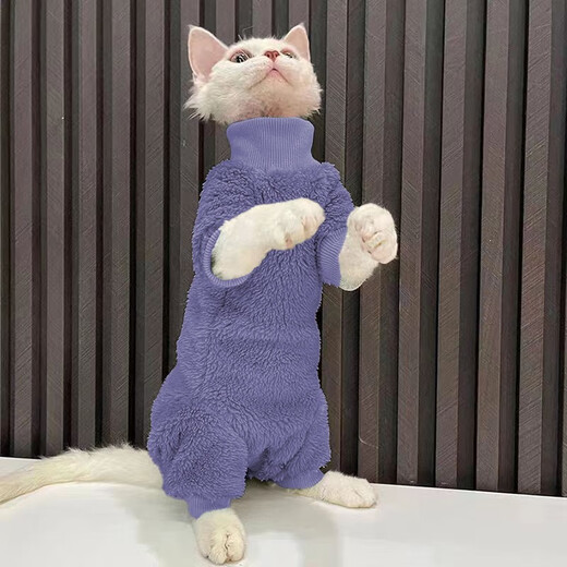 秋冬装打底无毛猫衣服斯芬克斯卫衣复古猫咪可爱小型宠物衣服潮牌