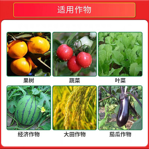 5% Benzylaminopurine Fruit Tree Promotes Bud Differentiation Preserves Flowers and Fruit Expansion Cytokinin Growth Adjustment 500ml*3 Bottles