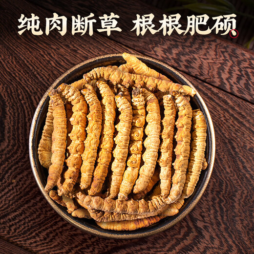 同芙 冬虫夏草断草10g约20根 全虫大号纯肉节 滋补营养补品自食性价比