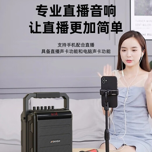 Shanshui K58 Outdoor High Power Square Dance Audio Tragbarer Bluetooth tragbarer Lautsprecher mit drahtlosen Mikrofonverstärker Audio K Song All-in-One 2025 New Audio All-in-One Shanshui K56 [450W High-Power] mit Rucksack