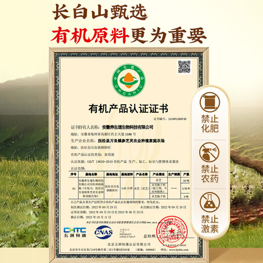 Beijing Tongrentang Father's Day Gift Ganoderma lucidum spore powder spore powder breaks the wall to enhance immunity middle-aged and elderly people give gifts to elders. Gifts are more atmospheric. Gift boxes [1 box]