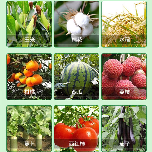 3% Sodium Nitrate and Sodium Nitrate, Fresh Fat, Vegetable Tomato Root Promoting Plant Growth Regulator Pesticide 500g*5 Bottles