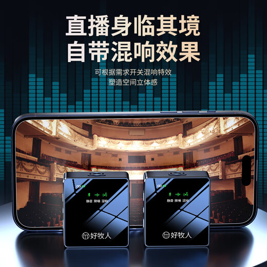 Good Shepherd Wireless Lavalier Microphone Mobile Live Broadcast Set Outdoor Interview Douyin Short Video Shooting Special Recording Equipment Little Bee Radio Mic Bluetooth Noise Reduction Wireless Microphone Professional Noise Reduction Lavalier Microphone One to One Silence*Reverberation*Noise Reduction