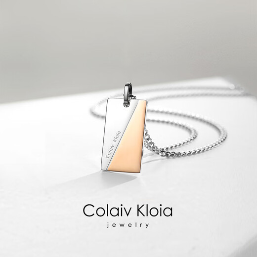 Colaivkloia necklace for men and women, double color matching fashion clavicle chain, titanium steel pendant, Valentine's Day birthday gift for boyfriend and girlfriend XL0108-double color matching necklace