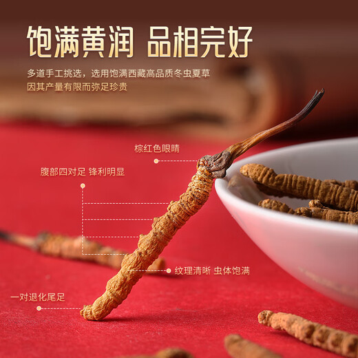 胡庆余堂冬虫夏草5根/g 8克红色对开礼盒装约38-40根西藏虫草礼盒天号50