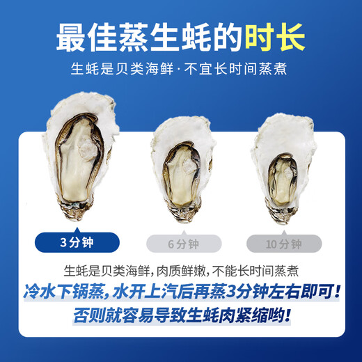 Bassling Fresh Rushan Oysters 4XL Net Weight 10Jin Jin is equal to 0.5kg 20-26 pieces Straight from the source