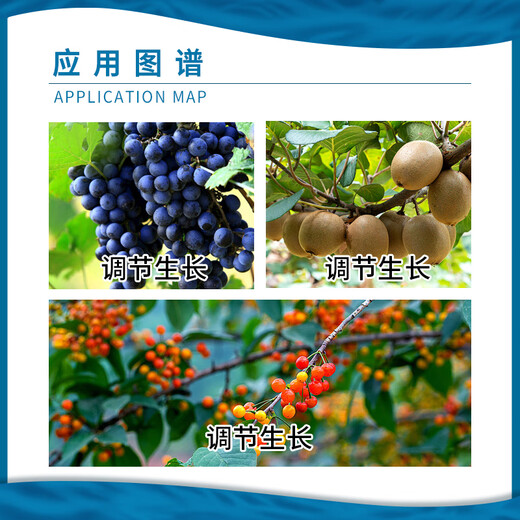 Rongya cyanamide grape germination promoting bud break agent early germination cyanamide hydrogen regulator growth regulator 250ml (Yumeiya)