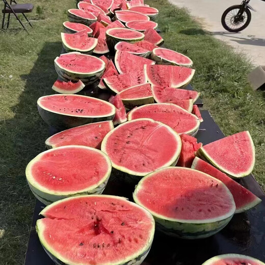 Ding Youyoudu No. 2 Watermelon Seeds, Sweet, Crisp and Juicy Kirin Melon Zaojia Red Flesh Heat-resistant Spring and Autumn Rock Sugar Crisp Original Pack of About 400 Tablets