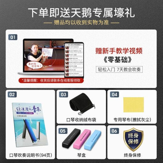 天鹅SWAN 口琴 24孔复音C调演奏口琴（黑色琴格）