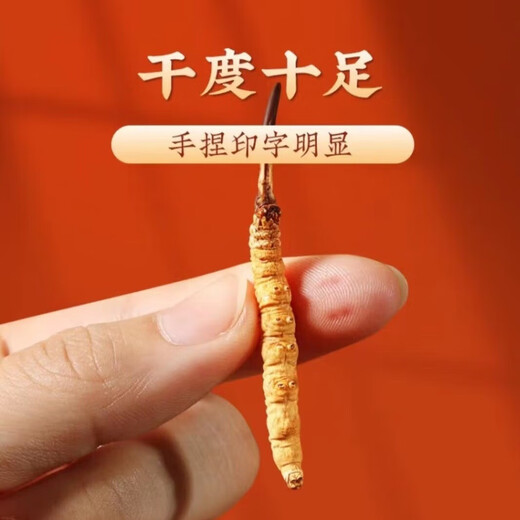 
Cordyceps sinensis, high-altitude cordyceps dry goods in Tibetan areas, nourishing gift box, 2 sticks per gram, 20 sticks gift box