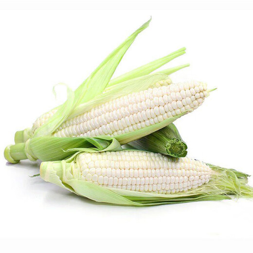 Exploding rock sugar fruit corn 500g