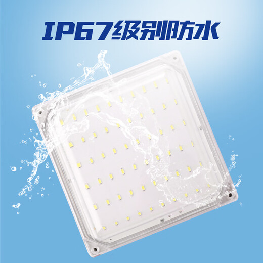 Aroden LED special lamp for cold storage, waterproof and moisture-proof lamp, explosion-proof and three-proof lamp, bathroom lamp, special lamp for cold storage and ice storage, square cold storage lamp 65/W