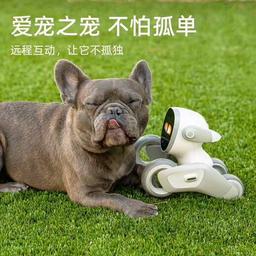 LOONA智能机器狗儿童编程学习机器人云指令智能机器人玩具家用宠物语音控制高科技互动玩具61儿童节礼物 现货标配【loona机器人+玩具包】