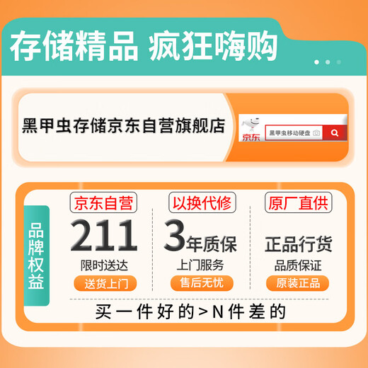 Black Beetle (KINGIDISK) 250GB USB3.0 mobile hard drive H series 2.5 inches matte black simple and portable business companion built-in encryption software H250