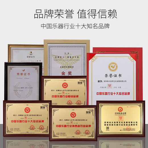 正音堂二胡乐器老料红木十级专业演奏苏州考级业余爱好大音量 三星老料红木+精美皮盒