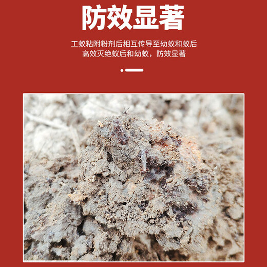 Ruifeng Huoshujing красный импортный огненный муравей специализируется на уничтожении красных импортных огненных муравьев, приманке для уничтожения муравьев, общем инсектициде 250 г * 2 бутылки на конце гнезда