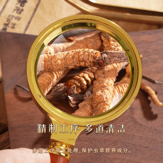 胡庆余堂冬虫夏草5g 天号4500#西藏高品质野生虫草整草自用西藏冬虫夏草