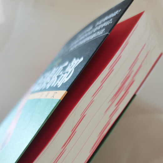 全新正版英语魔法师之语法俱乐部旋元佑文法英语法彩色珍藏版 不求甚解学习方法 奠定正确的文法基础