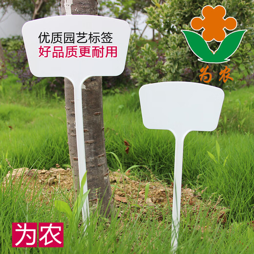 Benxinnong big brand gardening ground card can write plant label ground card succulent label identification card plastic card 100 small three-dimensional 36cm blue