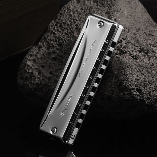 SUZUKI Suzuki original imported MR-350 ten-hole blues harmonica 10-hole advanced adult children beginner instrument