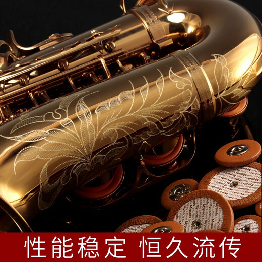 卡洛兰（karlorly）大品牌萨克斯A1降e调中音萨克斯管乐器罗林斯零基础初学入门演奏 A1中音-金色款