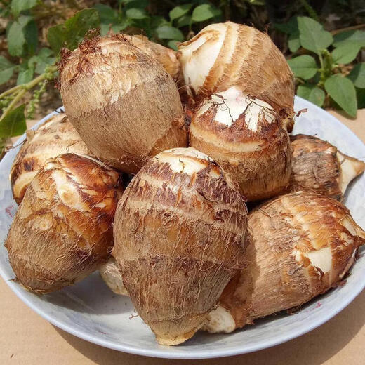 Jingmi Shandong Milk Taro net weight 5Jin Jin is equal to 0.5kg, single fruit 28g+ vegetables, meal replacement food taro, straight from the source