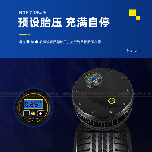 Michelin (MICHELIN) car air pump tire pressure electric pump portable inflatable treasure RV tire pump 12262