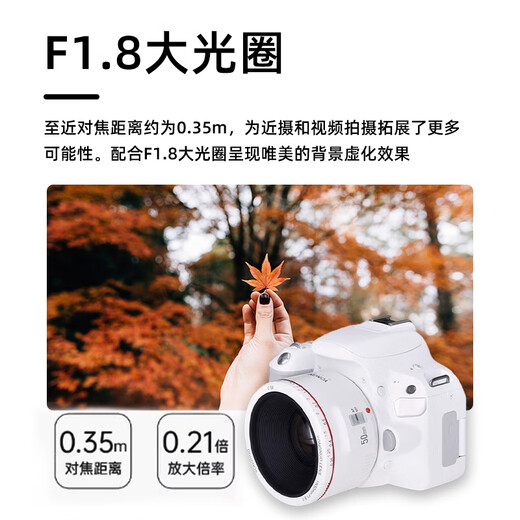 Yongnuo YN50mm F1.8 small spittoon lens automatic standard fixed focus suitable for Sony mouth ZV-E10 Nikon mouth Fuji mouth Canon mouth SLR micro single portrait lens Canon EF mouth second generation 50mm F1.8