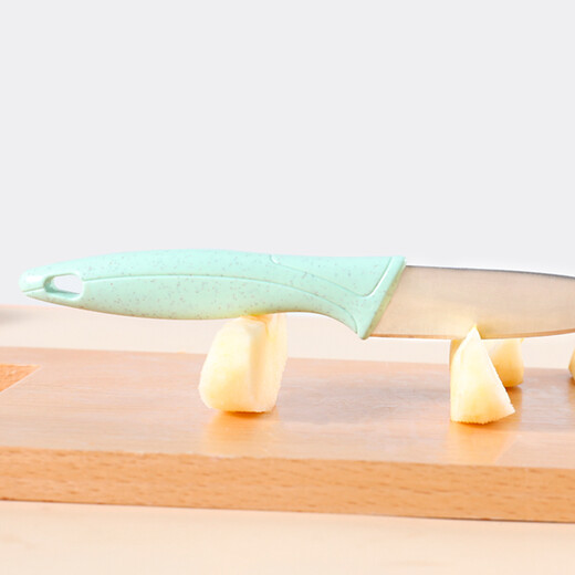 Bethers Stainless Steel Fruit Knife Two-Piece Set Portable Fruit Knife Grater Knife Tool Set Wheat Straw Home Multi-Function Knife for Dormitory Students