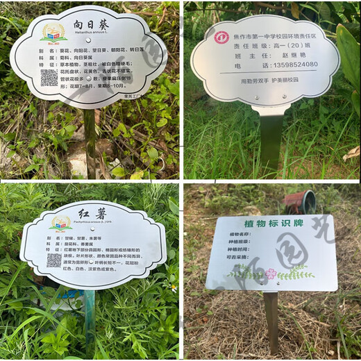 Customized stainless steel tree sign scenic spot plant greening flower sign tree introduction hanging sign ground sign 20x15cm