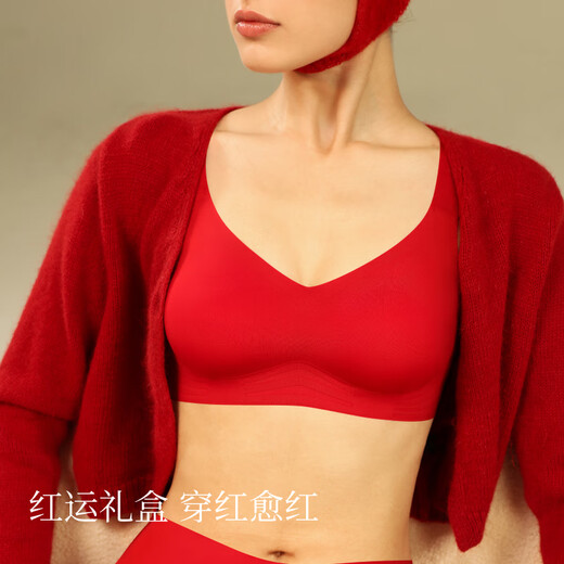 Sujiliangpin Angel Wings Inclusive Jelly Strip Underwear New Year Red Gift Box Zodiac Year Red Bra Panties Bra Set