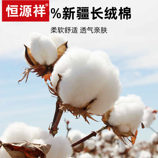 恒源祥加绒加厚纯棉保暖衬衫男长袖冬季商务男士正装白色免烫衬衣 保暖B05-6218 蓝色 41 (体重145-155斤)