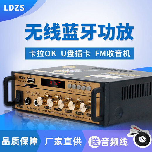 LDZS Mini Mini -Verstärker -Lautsprecher -Amplifikationskarte USB -Flash -Laufwerk DC 12V 220V Bluetooth -Verstärker erweiterte Konfiguration (Anzeige + Reverb -Einstellung)
