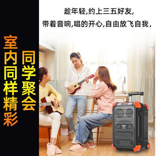 Songchuan International (SOONTRAN) SS6 outdoor trolley square dance speaker karaoke stage Bluetooth instrument guitar strap audio high-power subwoofer SS6-5-inch portable version + 2 Bel Canto FM microphones