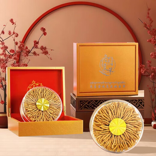 (Echte Cordyceps) hohe Höhe tibetische Cordyceps verschiedene Spezifikationen High-End-Geschenkboxen für Menschen Geschenke 2 Stangen/g 25 g 50 Stäbe (Lagerbestand beliebt)