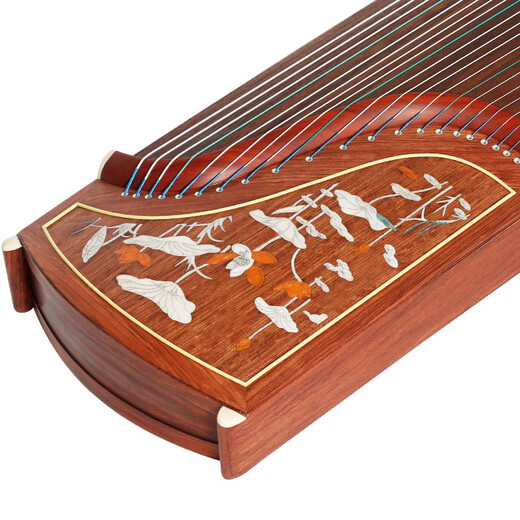 Brand Dunhuang Dunhuang Guzheng 696d Double Crane Chaoyang Serie Beginner Adulto Grading Guzheng Qin Shanghai National Musical Instrument Factory 1 694L Lotus (conjunto completo de accesorios)