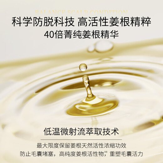 Ziyuan anti-hair loss strong oil control shampoo 1055ml ginger care set arborvitae leaf hair care for men and women silicone-free and smooth